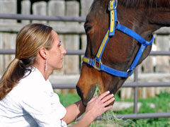 Equine Services