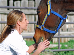 woman and horse