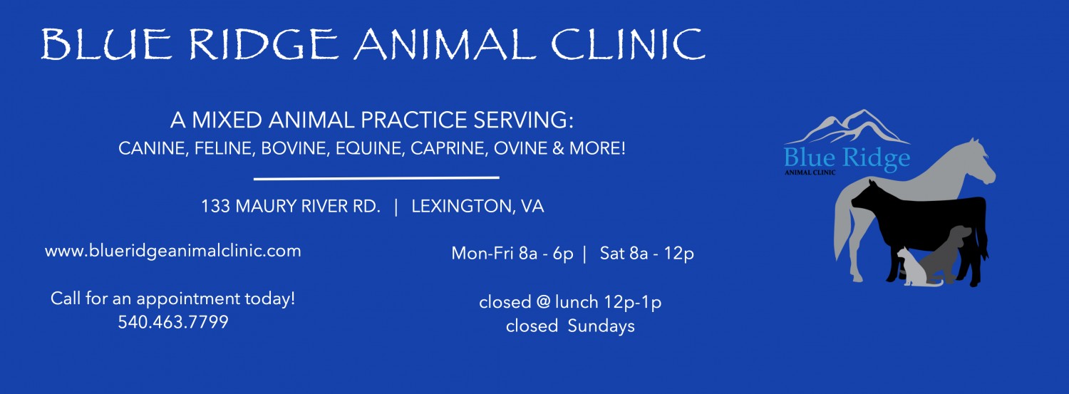 Blue Ridge Animal Clinic Header