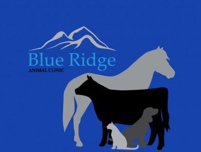 Blue Ridge Animal Clinic Header